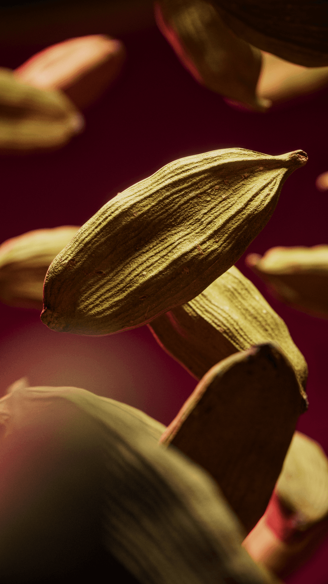Rendu 3D · matière & texture